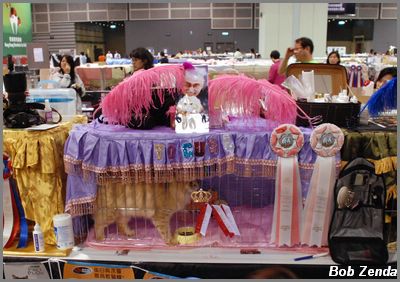 Decorated Cage 3